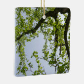 Kijkend naar de Populaire boom van de Lente Keramisch Ornament (Rechts)