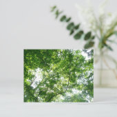 Kijkend omhoog naar de Bomen van de Zomer Briefkaart (Staand voorkant)