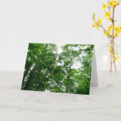 Kijkend omhoog naar de Bomen van de Zomer Kaart (Gele Bloem)