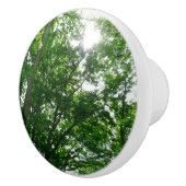 Kijkend omhoog naar de Bomen van de Zomer Keramische Knop (Rechts)