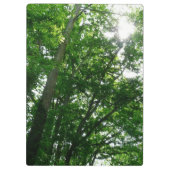 Kijkend omhoog naar de Bomen van de Zomer Klembord (Achterkant)