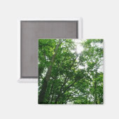 Kijkend omhoog naar de Bomen van de Zomer Magneet (Voorkant / Achterkant)