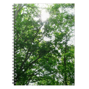 Kijkend omhoog naar de Bomen van de Zomer Notitieboek