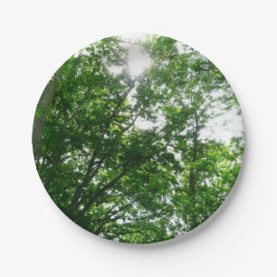 Kijkend omhoog naar de Bomen van de Zomer Papieren Bordje