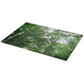 Kijkend omhoog naar de Bomen van de Zomer Snijplank (Hoek)