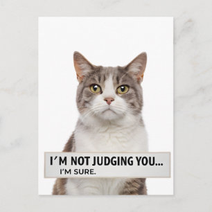 Kijkende kat Sarcastische quote minimale kunst Briefkaart