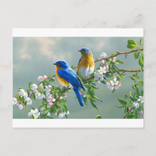 kijkschilderijen, bloemen, vogels, desktop-l- briefkaart (Voorkant)