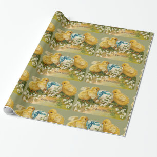 KIKENS, SNOWDROPS EN EENVOUDIGERE EGG MET BLAUW CADEAUPAPIER