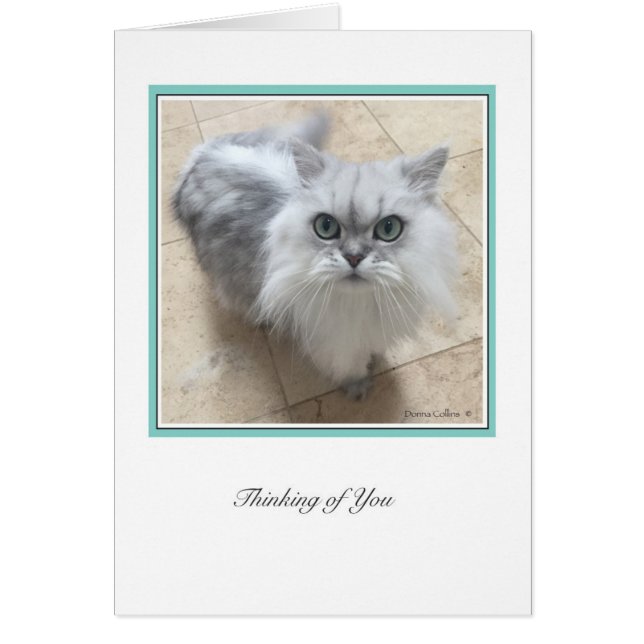 KiKi-collectie # 2 (Voorkant)