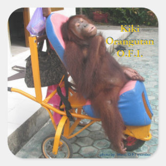 KiKi Orangutan in haar rolstoel Vierkante Sticker