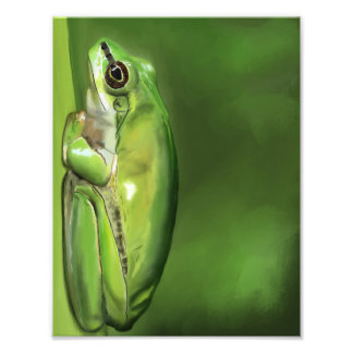 Kikker-1 olieverfschilderij foto afdruk