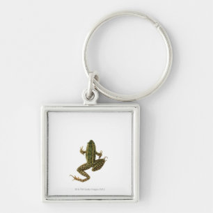 Kikker 2 sleutelhanger