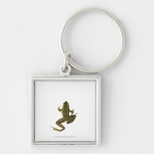 Kikker 2 sleutelhanger (Voorkant)