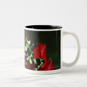 Kikker 2 tweekleurige koffiemok