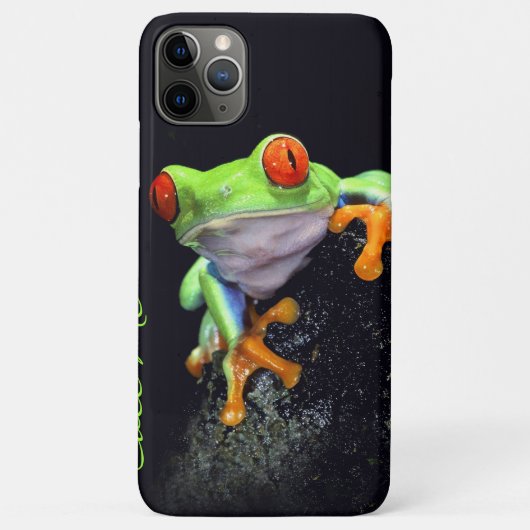 Kikker 3 iPhone Case (Achterkant)