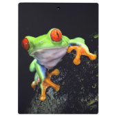 Kikker 3 Klembord (Achterkant)