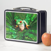 Kikker 4 Lunchbox (In situ)