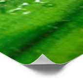 Kikker 4 Poster (Hoek)