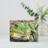 Kikker Afbeeldingen Briefkaart (Staand voorkant)