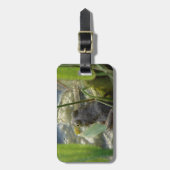 Kikker Bagagelabel (Voorkant verticaal)