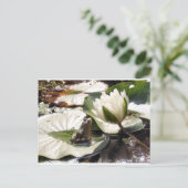 Kikker Briefkaart (Staand voorkant)