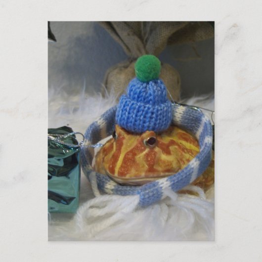 Kikker Briefkaart (Voorkant)