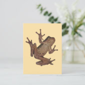 kikker briefkaart (Staand voorkant)
