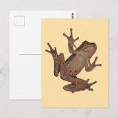 kikker briefkaart (Voorkant / Achterkant)