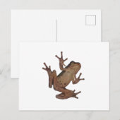 kikker briefkaart (Voorkant / Achterkant)