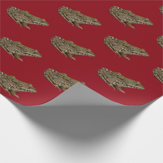 Kikker Cadeaupapier (Hoek)