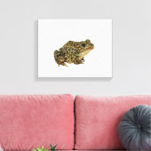 Kikker Canvas Afdruk (Insitu (Woonkamer))