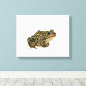 Kikker Canvas Afdruk (Insitu (Houten vloer))