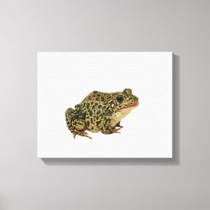 Kikker Canvas Afdruk