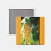 Kikker CB Magneet (Voorkant / Achterkant)