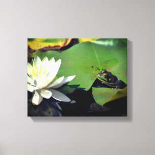 Kikker die Lotus Waterlelie Bloem Bewondert Canvas Afdruk