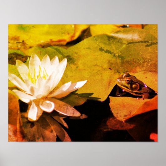 Kikker die water Lily Abstract grunge Poster (Voorkant)