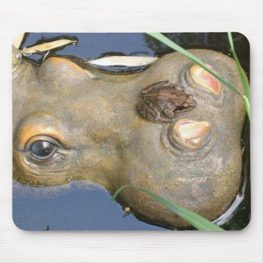 kikker en hippo muismat (Voorkant)