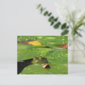 Kikker en Lily Pads Briefkaart (Staand voorkant)