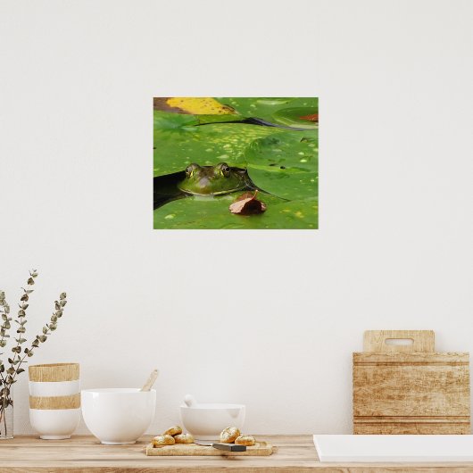 Kikker en Lily Pads Poster (Keuken)