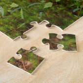 Kikker en logge compacte puzzel (Zijkant)