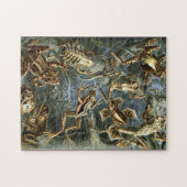 Kikker en pad Ernst Haeckel Legpuzzel (Horizontaal)