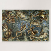 Kikker en pad Ernst Haeckel  Legpuzzel (Horizontaal)