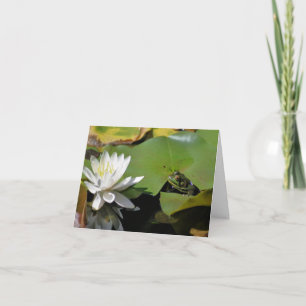 Kikker en waterlelie Lotusbloem fotografie  Notitiekaartje