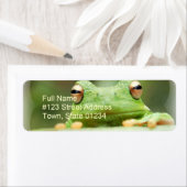 Kikker Eyes Return Address Label (Insitu)