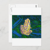 Kikker in de gras briefkaart (Voorkant / Achterkant)