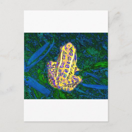 Kikker in de gras briefkaart (Voorkant)