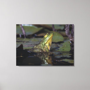 Kikker in een vijver canvas afdruk