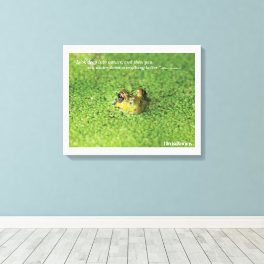 Kikker in groene algen canvas afdruk (Insitu (Houten vloer))