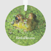 Kikker in groene algen ornament (achterkant)