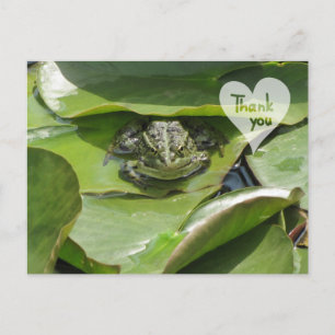 Kikker in het groen Kijken naar u Dank u Briefkaar Briefkaart
